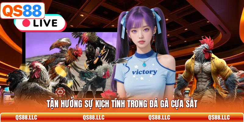 Tận hưởng sự kịch tính trong đá gà cựa sắt 